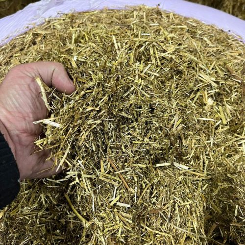 Lucern - per kilo