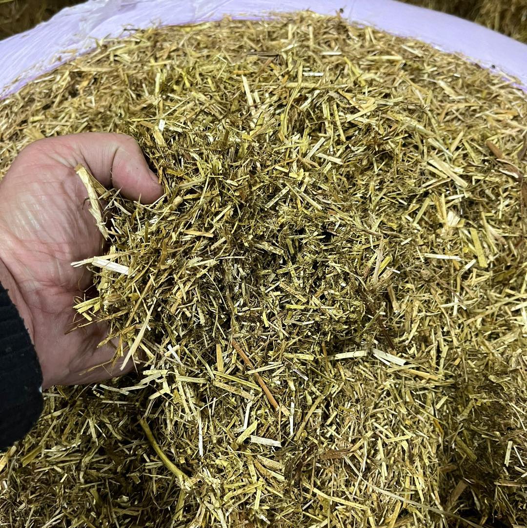 Lucern - per kilo