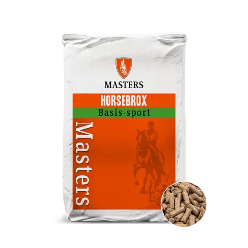 Masters Basis Sport