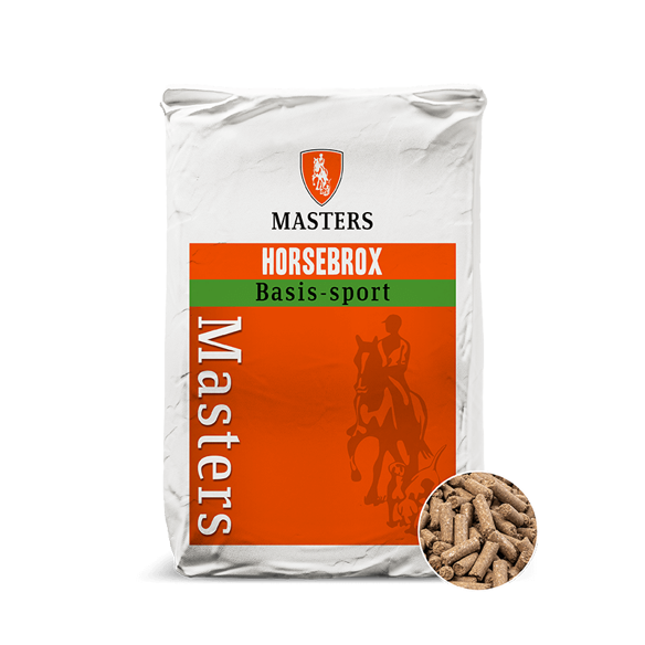 Masters Basis Sport