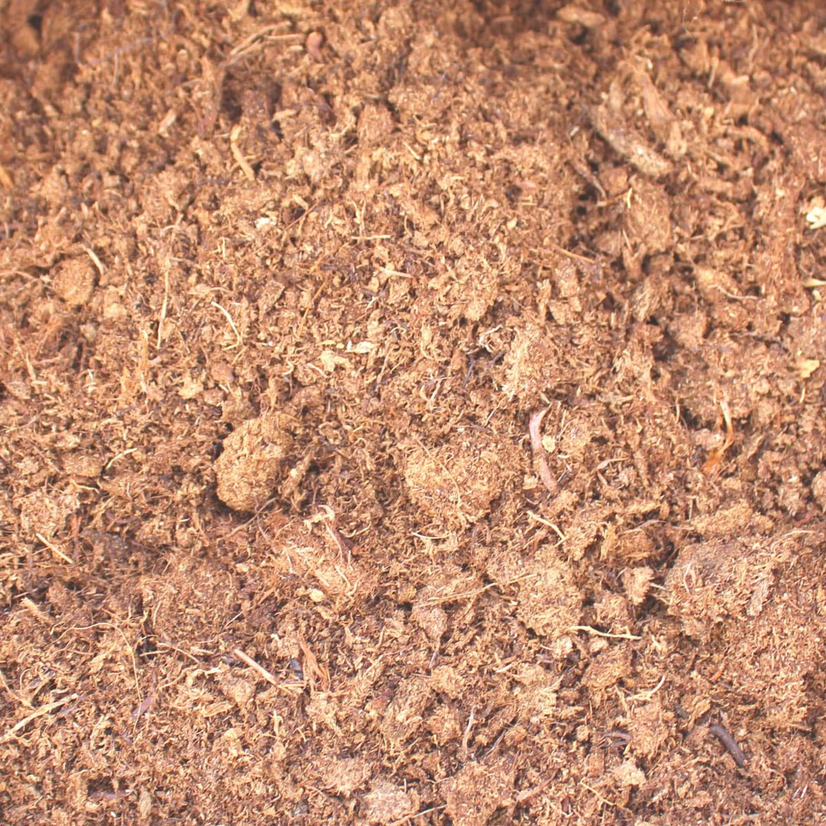 Torvmix - Bild 3