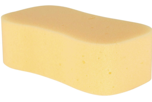 Tvättsvamp