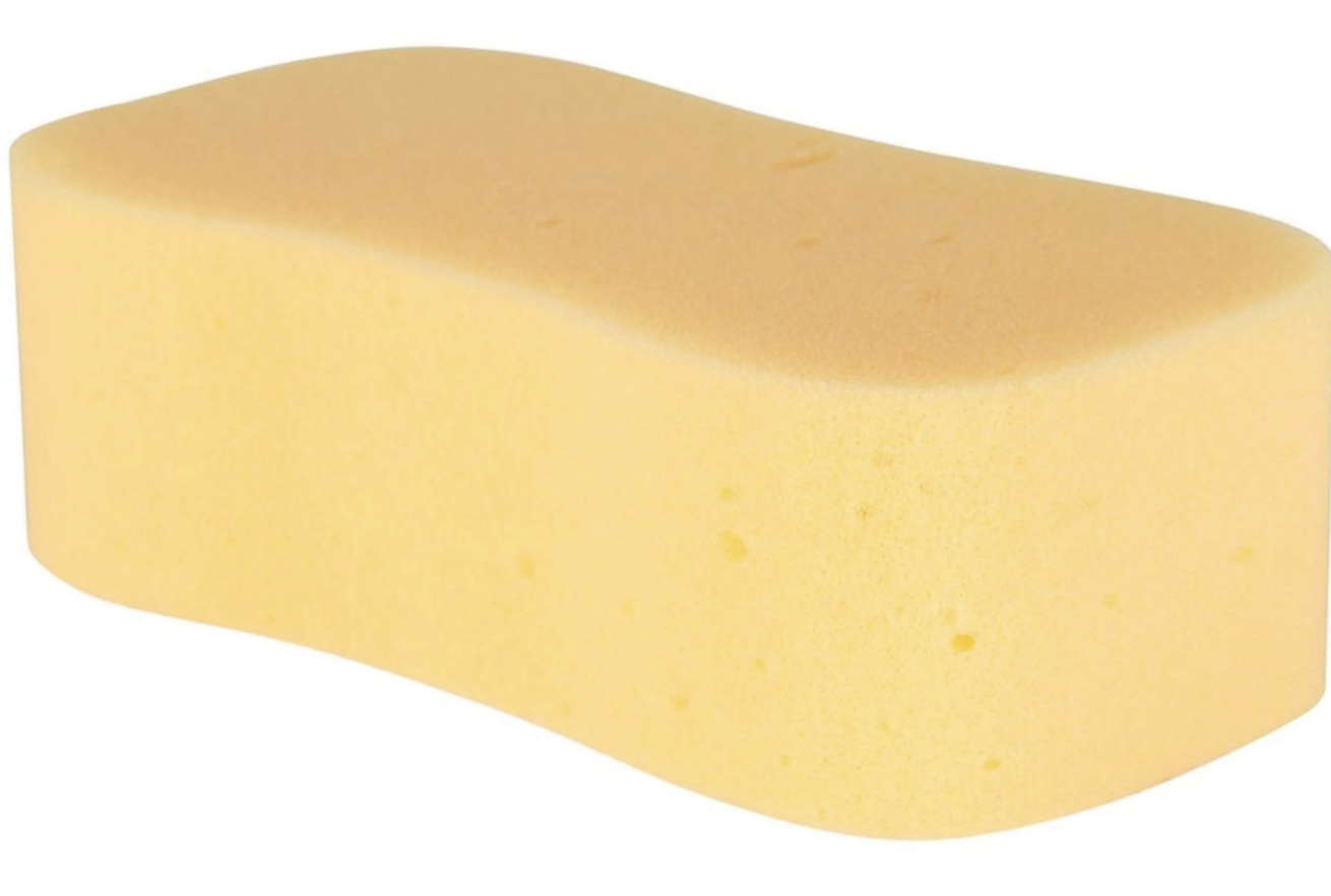 Tvättsvamp