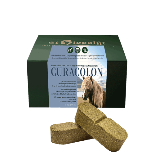 St Hippolyt CuraColon