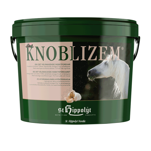 St Hippolyt Knoblizem