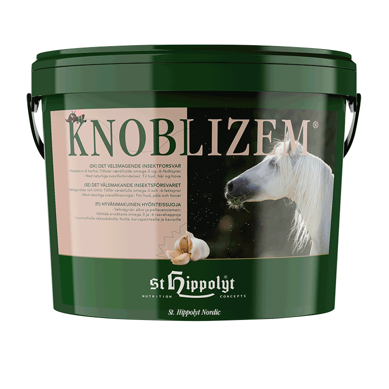 St Hippolyt Knoblizem