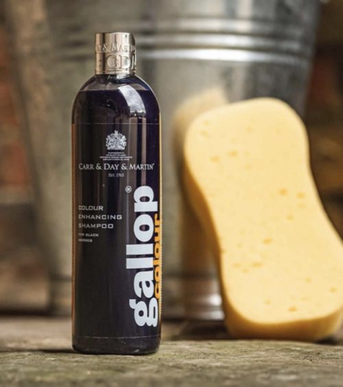 Gallop Colour Shampoo – Black - Bild 3