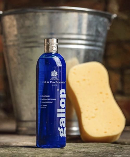 Alternative view of Gallop Colour Shampoo – Grey