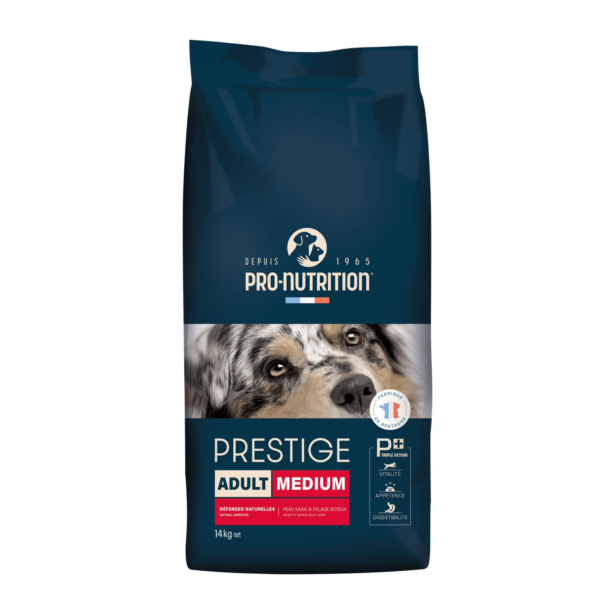 Prestige Adult Medium