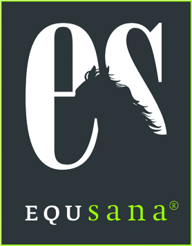 Equsana
